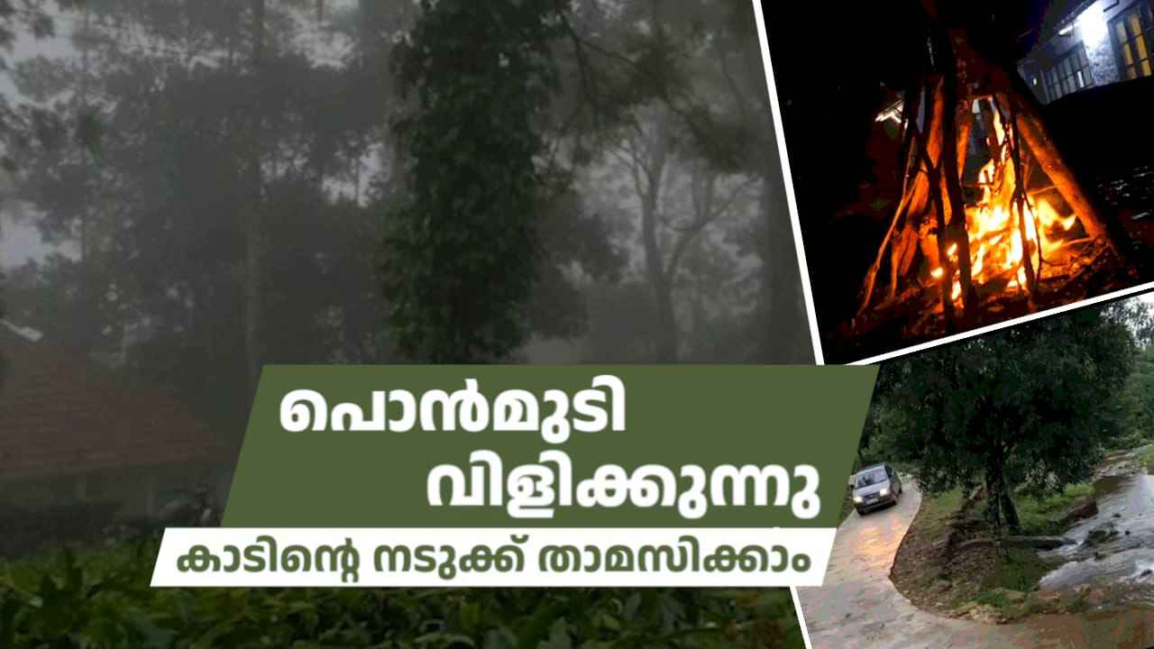 പൊന്മുടി വിളിക്കുന്നു… കാടിനു നടുവില് താമസിക്കാം