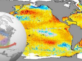 പസഫിക്കില് വിചിത്രമായ പ്രതിഭാസങ്ങള്… ഇക്കുറി സൂപ്പര് എല് നിനോ? ലോകത്ത് ആശങ്ക