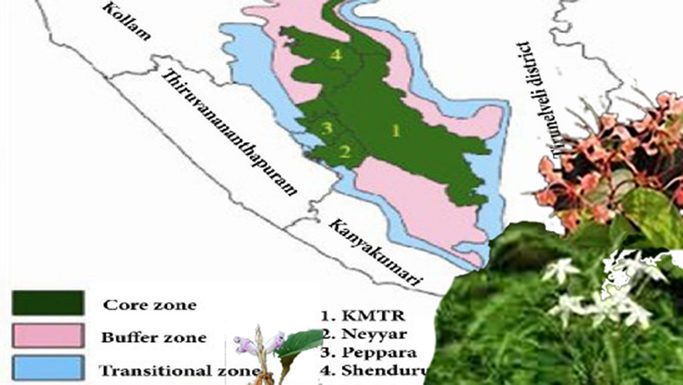 അഗസ്ത്യമലയിൽ 3,261 പുഷ്പിക്കുന്ന സസ്യയിനങ്ങൾ; 1,018 എണ്ണം തദ്ദേശീയ ഇനങ്ങൾ