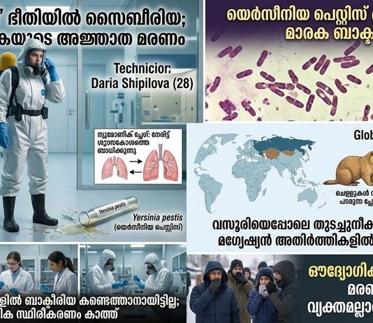 ടെസ്റ്റ് ട്യൂബ് പൊട്ടി ബാക്ടീരിയ പുറത്തുചാടിയോ? വാർത്തകളിൽ നിറയുന്ന ന്യുമോണിക് പ്ലേഗ് എന്താണ് ? ഇത് എത്രത്തോളം അപകടകാരിയാണ്?