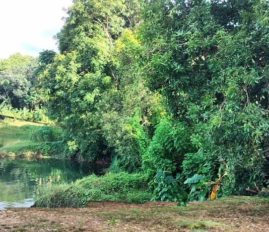 കാലവർഷം അവസാനിച്ചു, തുലാവർഷം കന്നിഞ്ഞില്ലെങ്കിൽ കേരളം വരളും