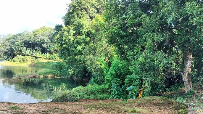 കാലവർഷം അവസാനിച്ചു, തുലാവർഷം കന്നിഞ്ഞില്ലെങ്കിൽ കേരളം വരളും