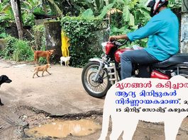 ഓർക്കുക… മൃഗങ്ങള് കടിച്ചാല് ആദ്യമിനിട്ടുകള് നിര്ണ്ണായകമാണ്, മുറിവ് 15 മിനിട്ട് സോപ്പിട്ട് കഴുകണം