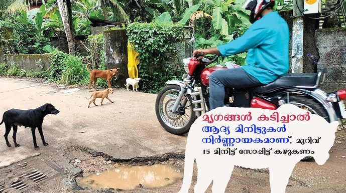 ഓർക്കുക… മൃഗങ്ങള് കടിച്ചാല് ആദ്യമിനിട്ടുകള് നിര്ണ്ണായകമാണ്, മുറിവ് 15 മിനിട്ട് സോപ്പിട്ട് കഴുകണം